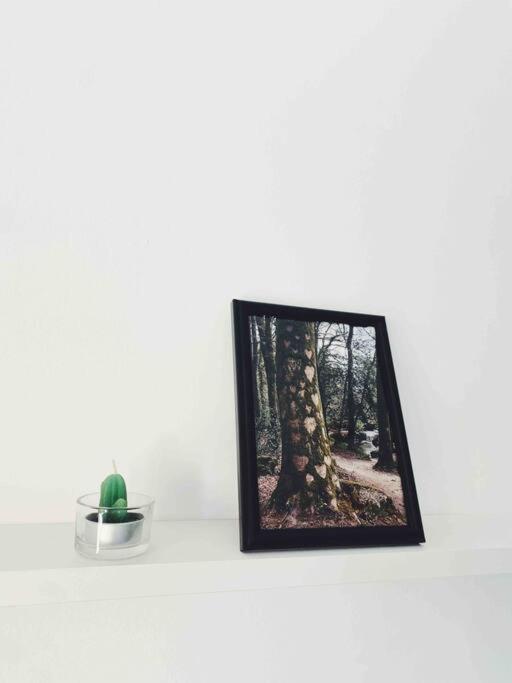 Апартаменти Precioso Apartamento Con Banera Hidromasaje Сопелана Екстер'єр фото